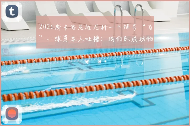 2026斯卡洛尼给尼科一个绰号“马”，球员本人吐槽：我们队成动物园了，看阿根廷队内那些有趣的昵称