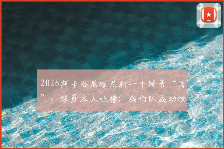 2026斯卡洛尼给尼科一个绰号“马”,球员本人吐槽:我们队成动物园了,看阿根廷队内那些有趣的昵称